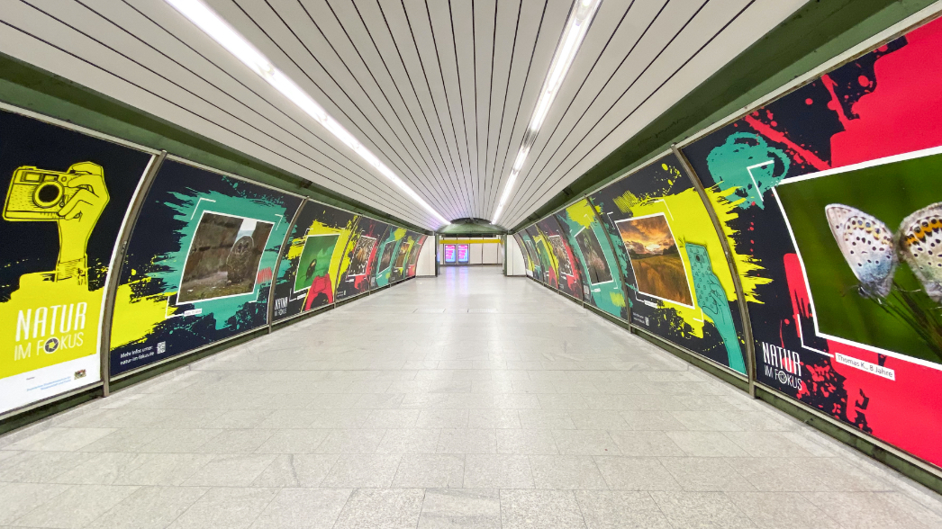 Jugendkommunikation: Bunte Großflächenplakate animieren zum Mitmachen Bunte Großflächenplakate animieren Jugendliche zum Mitmachen beim Fotowettbewerb “Natur im Fokus”. Die bunten Plakate sind Teil einer Kommunikationskampagne der brandarena für den Kunden Bayerisches Staatsministerium für Umwelt und Verbraucherschutz.